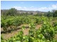 Mudgee NSW 2850