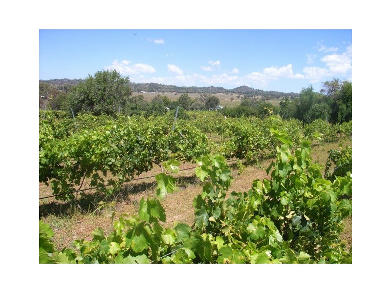 Mudgee NSW 2850
