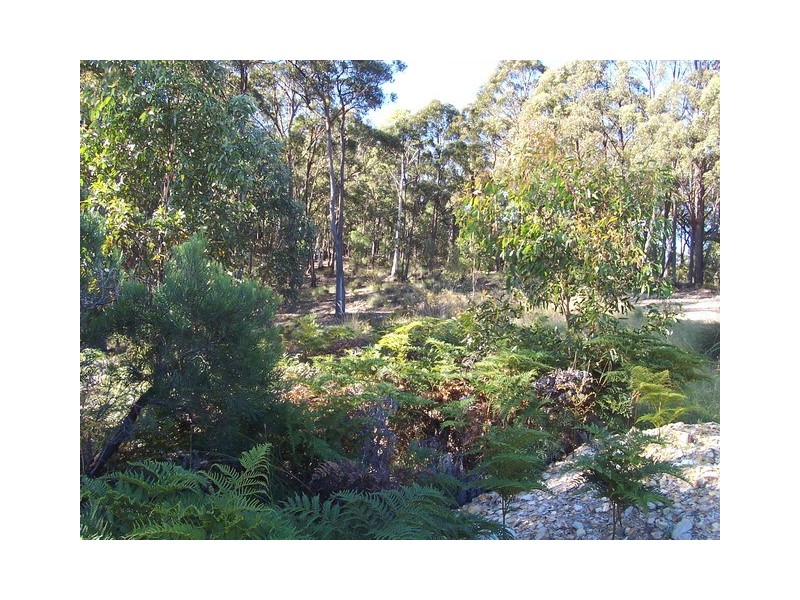 Mudgee NSW 2850