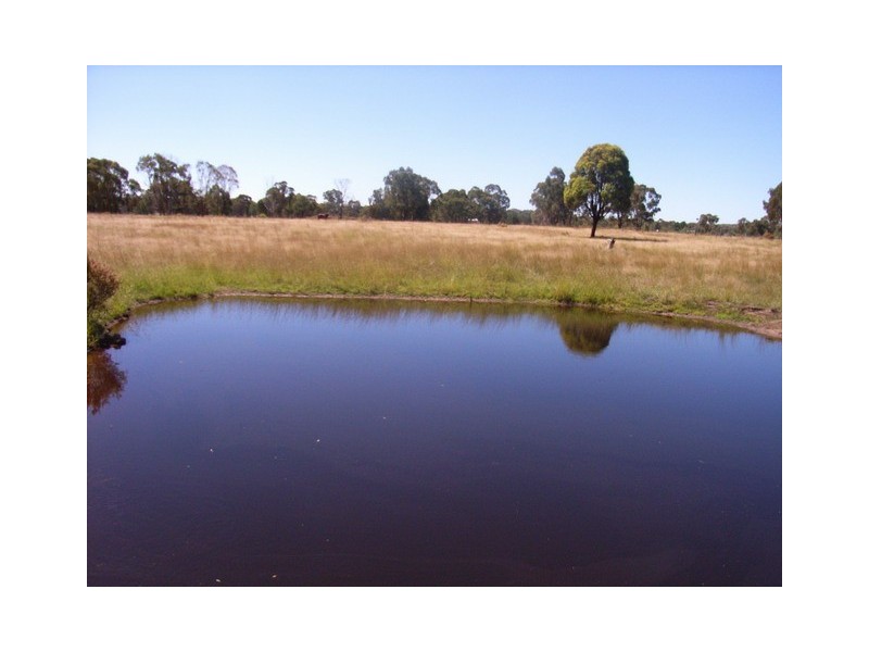 Mudgee NSW 2850