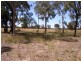 Mudgee NSW 2850