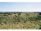 Mudgee NSW 2850