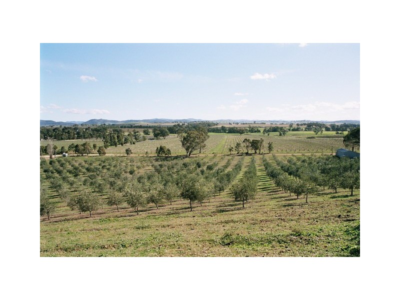 Mudgee NSW 2850