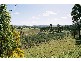 Mudgee NSW 2850