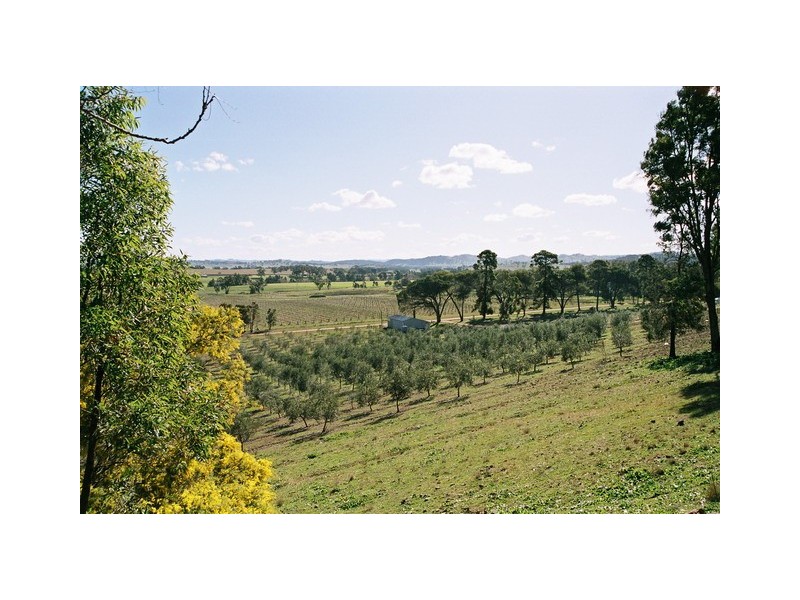 Mudgee NSW 2850