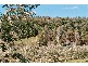 Mudgee NSW 2850