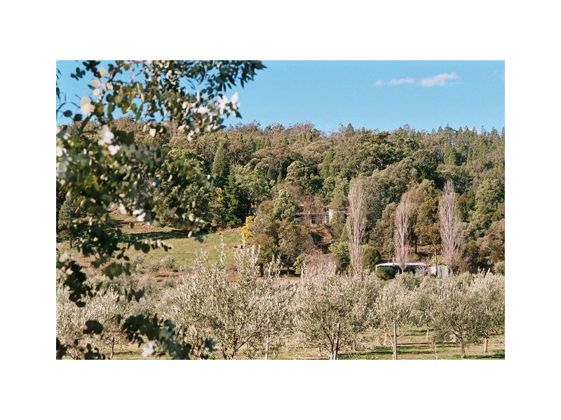 Mudgee NSW 2850