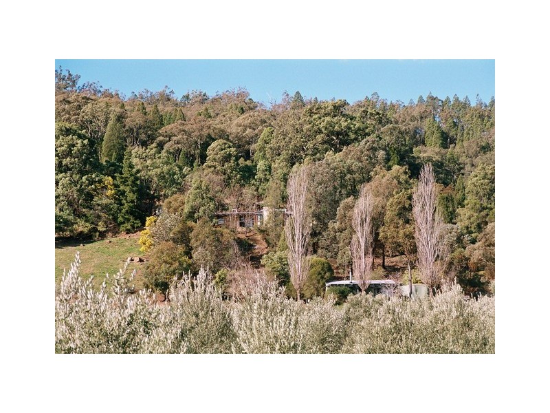 Mudgee NSW 2850