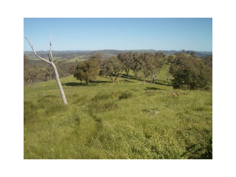 Mudgee NSW 2850