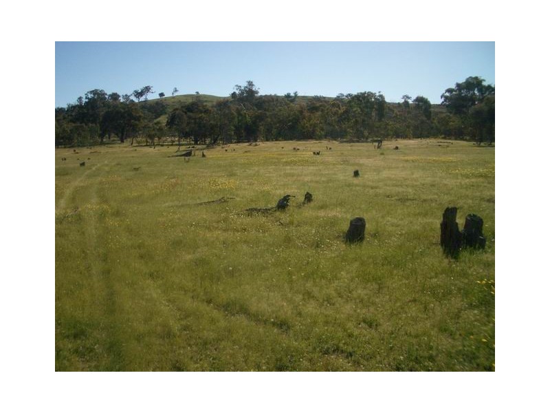 Mudgee NSW 2850