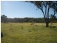 Mudgee NSW 2850