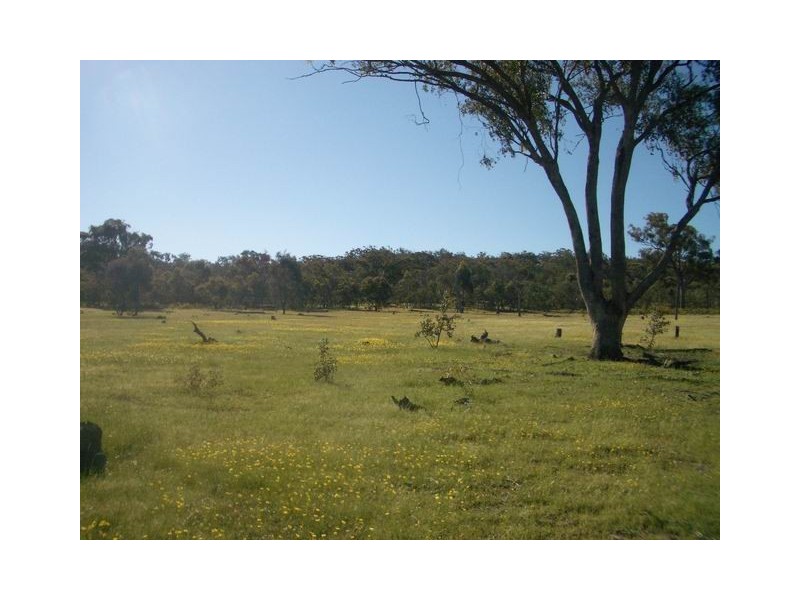 Mudgee NSW 2850