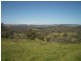 Mudgee NSW 2850