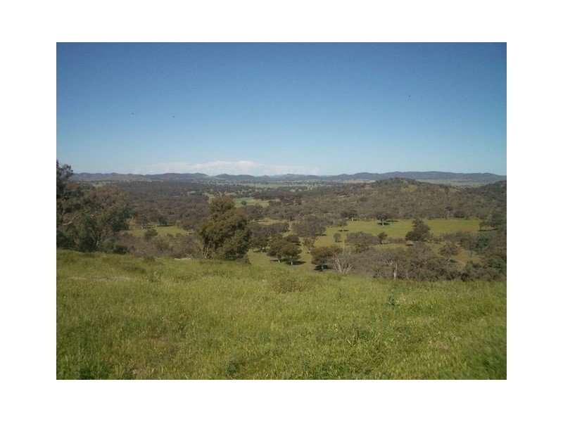Mudgee NSW 2850