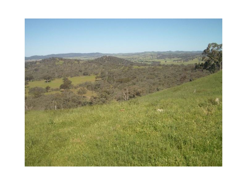 Mudgee NSW 2850