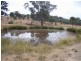 Mudgee NSW 2850