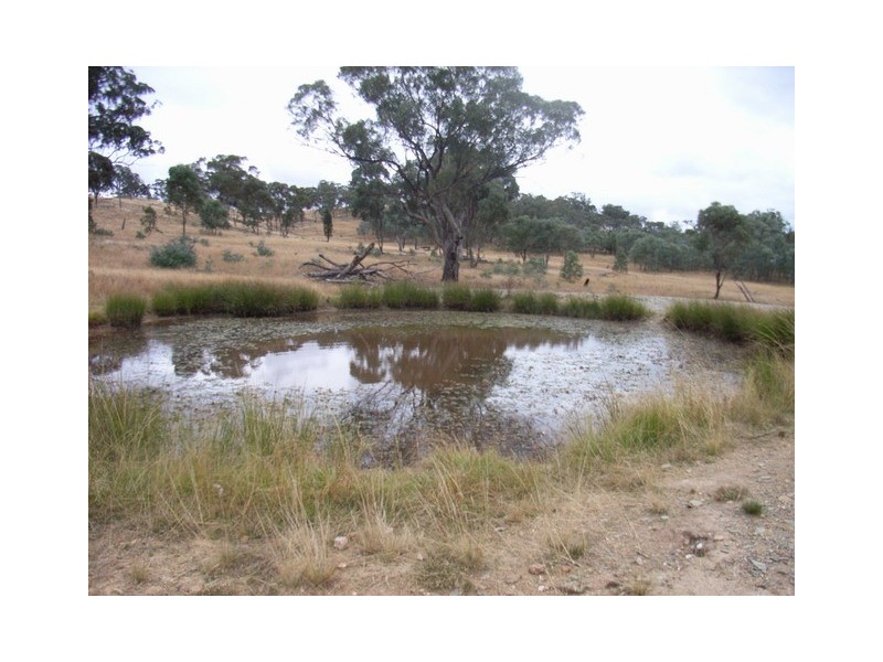 Mudgee NSW 2850