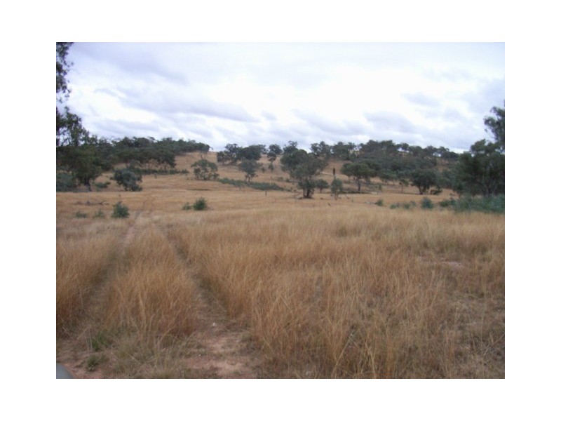 Mudgee NSW 2850