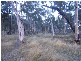 Mudgee NSW 2850