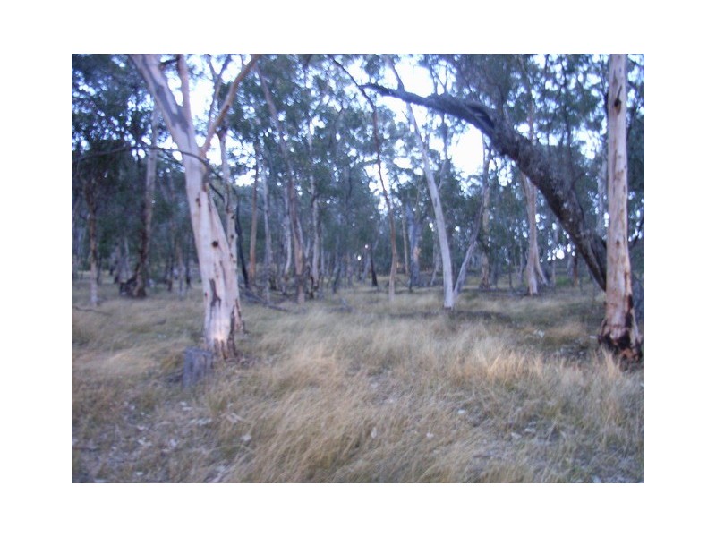 Mudgee NSW 2850