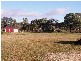 Mudgee NSW 2850