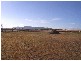 Mudgee NSW 2850