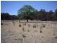 Hill End NSW 2850