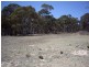 Hill End NSW 2850