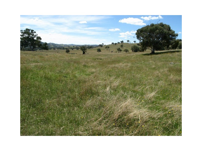 Mudgee NSW 2850