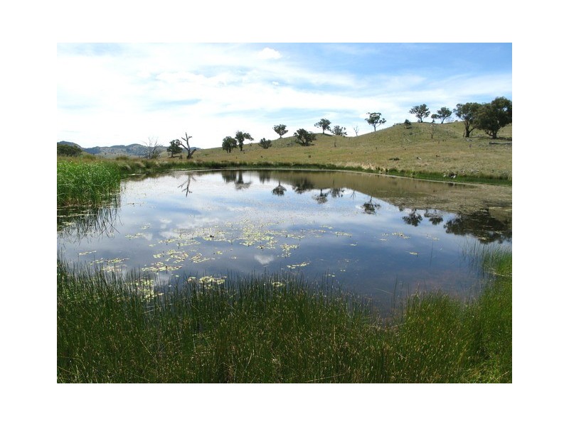 Mudgee NSW 2850