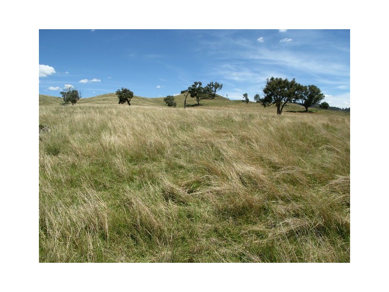 Mudgee NSW 2850