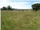 Mudgee NSW 2850
