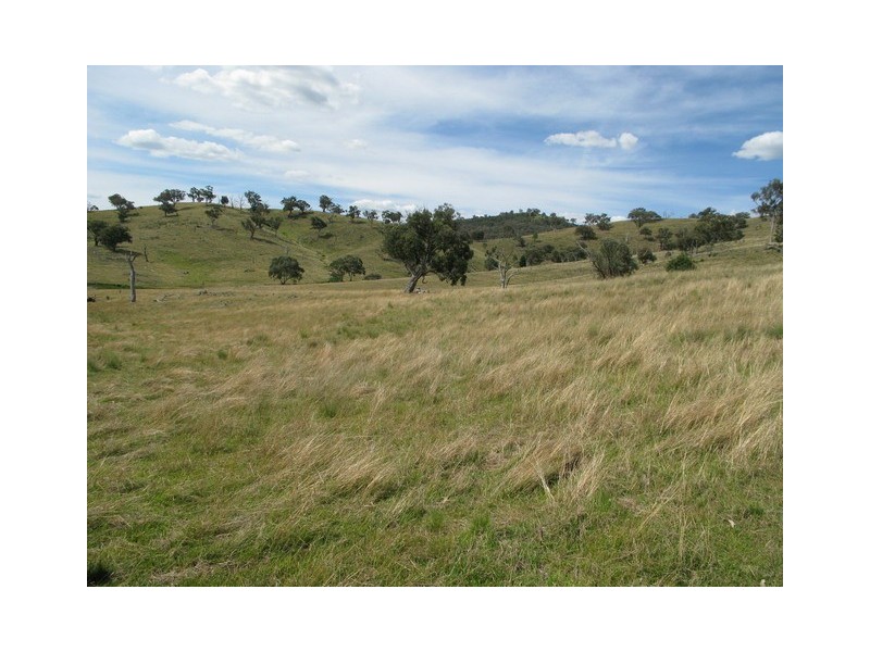Mudgee NSW 2850