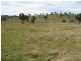 Mudgee NSW 2850