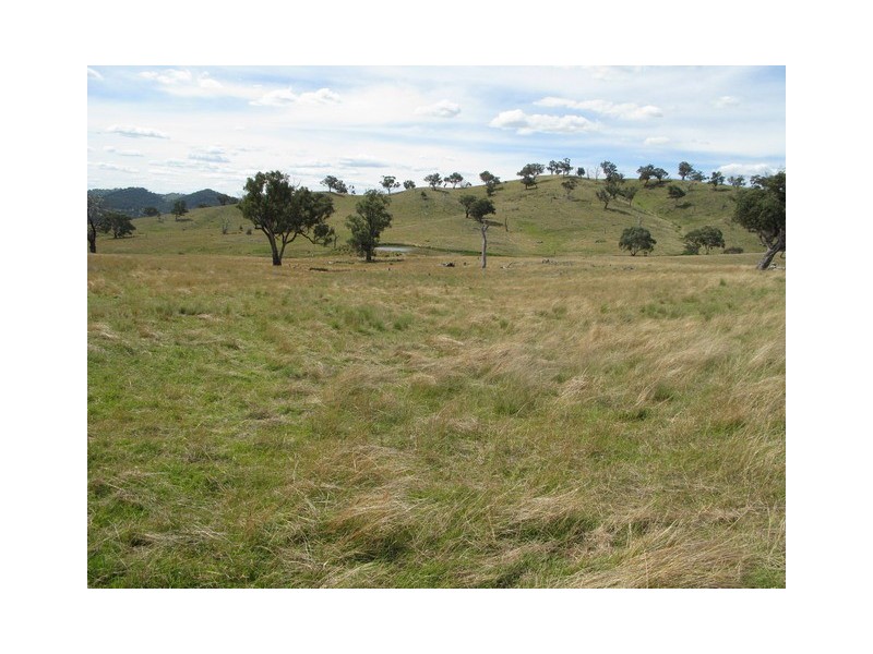 Mudgee NSW 2850
