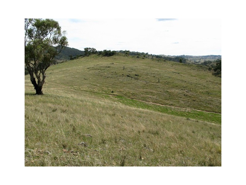Mudgee NSW 2850