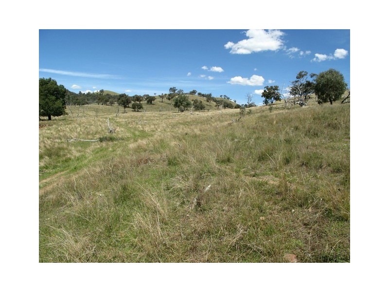 Mudgee NSW 2850