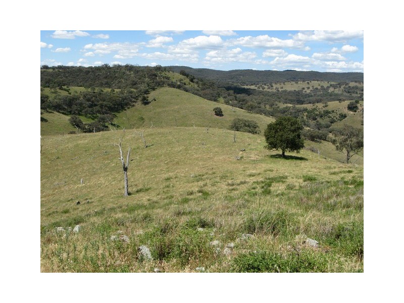 Mudgee NSW 2850