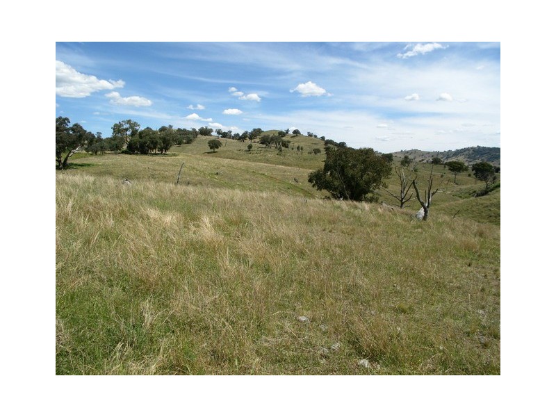 Mudgee NSW 2850