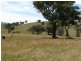 Mudgee NSW 2850