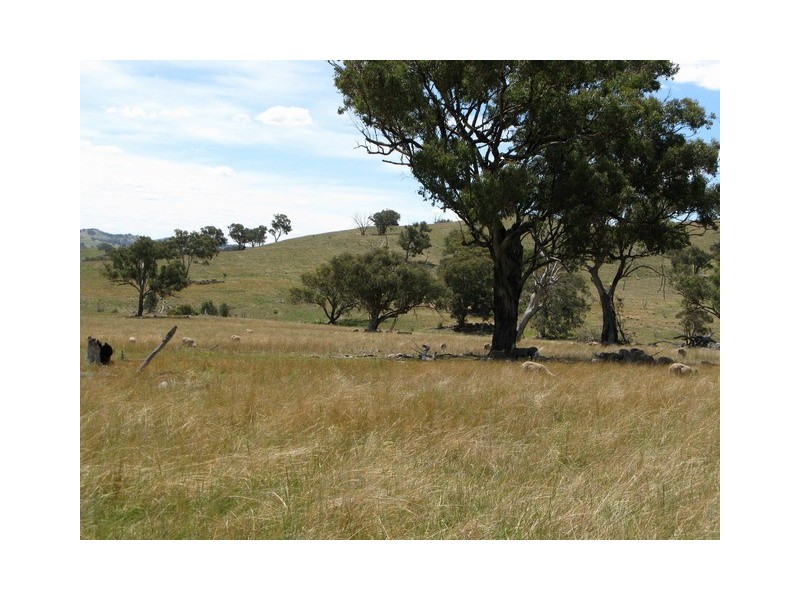 Mudgee NSW 2850