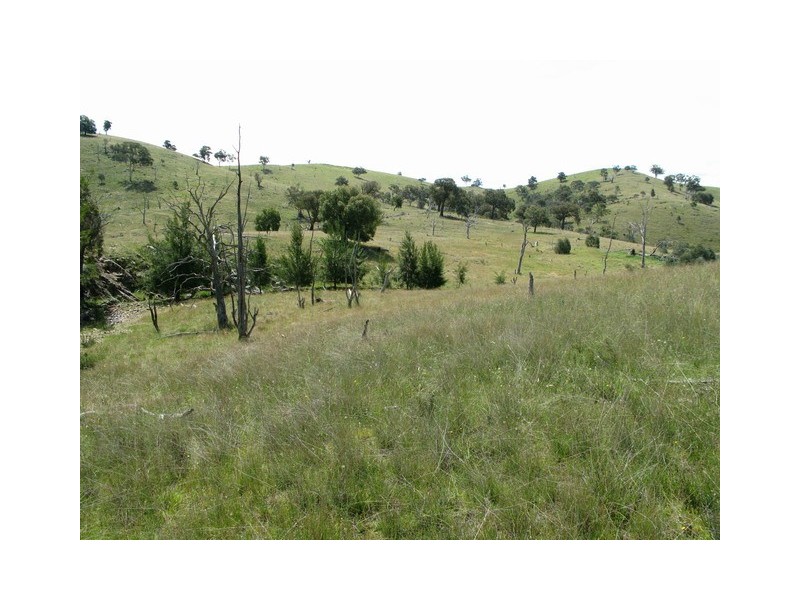 Mudgee NSW 2850