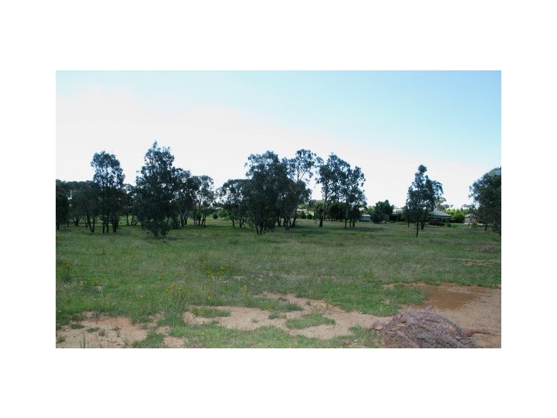 Mudgee NSW 2850