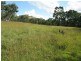 Mudgee NSW 2850