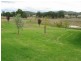 Mudgee NSW 2850