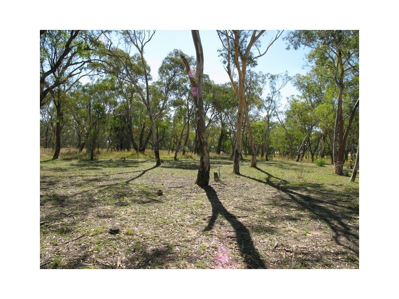 Gulgong NSW 2852