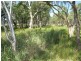 Gulgong NSW 2852