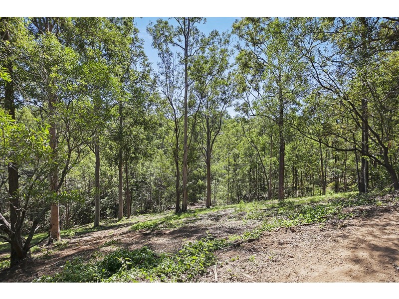 23 Fitzgerald Court, Clear Mountain QLD 4500