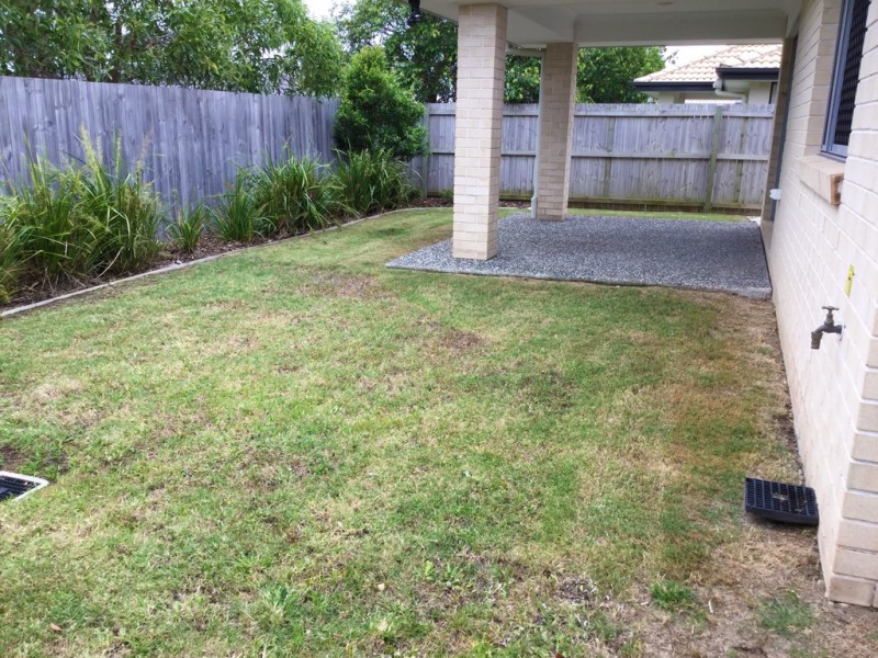 North Lakes QLD 4509