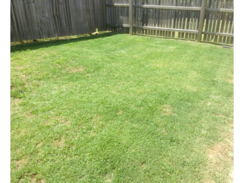 Upper Kedron QLD 4055